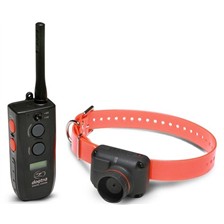 COLLIER DE REPERAGE 1 CHIEN DOGTRA RB