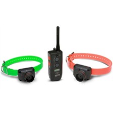 COLLIER DE REPERAGE 2 CHIENS DOGTRA RB-2