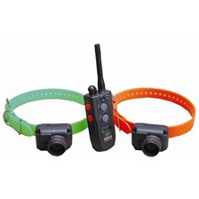 COLLIER DRESSAGE ET REPERAGE 2 CHIENS DOGTRA 2502 T&B