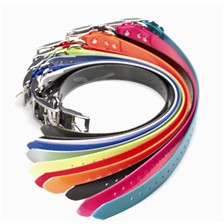 COLLIER SANGLE PVC CHIEN 2.5CM