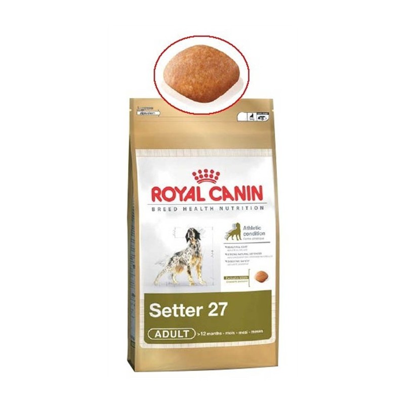CROQUETTES CHIEN PETITE TAILLE ROYAL CANIN SETTER 27 3 KG image