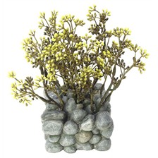 DECOR BASE AVEC GALET FLUVAL SHUI