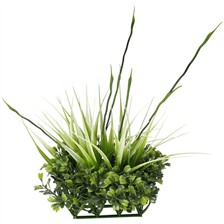 DECOR BOXWOOD + GRASS FLUVAL SHUI