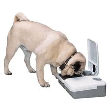 DISTRIBUTEUR DE NOURRITURE PETSAFE CHIEN / CHAT