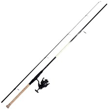 ENSEMBLE LANCER DAIWA CANNE SWEEPFIRE + MOULINET SWEEPFIRE