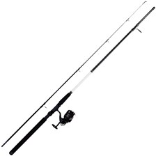 ENSEMBLE LANCER DAIWA CANNE SWEEPFIRE + MOULINET SWEEPFIRE SET SP