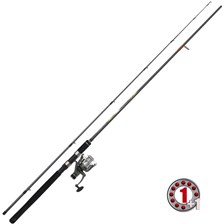 ENSEMBLE LANCER PEZON & MICHEL PREMIUM BAIT FISH 270 / FR30 AL