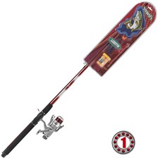 ENSEMBLE TRUITE MITCHELL READY-TO-FISH POWER 2 TROUT 212