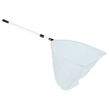 EPUISETTE AUTAIN AZUR