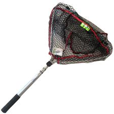 EPUISETTE PAFEX TROTANET LIGHTNET