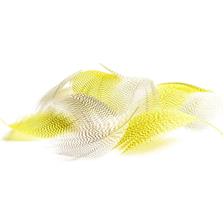 FLANC DE CANARD JAUNE DEVAUX