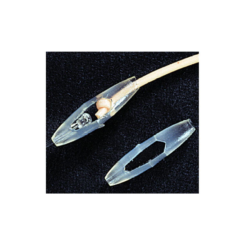 all the fishing world and even more