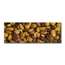 GRAINE STARBAITS PERFORMANCE BAITS MELANGE GRAINES D'AMORCAGE