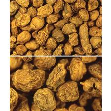 GRAINE STARBAITS PERFORMANCE BAITS TIGER NUTS