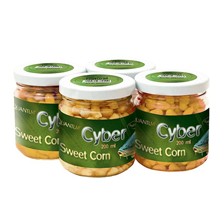 GRAINES QUANTUM CYBER SWEET CORN