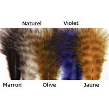 GRIZZLY MARABOUT JMC