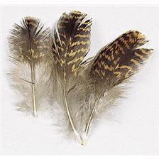GROUSE JMC (TETRAS)