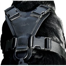 HARNAIS CHIEN CUIR MARTIN SELLIER SUPER CONFORT
