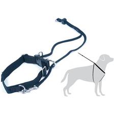 HARNAIS DE MARCHE CHIEN