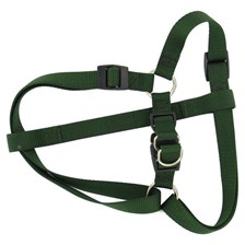 HARNAIS NYLON CHIEN SOLOGNAC VERT