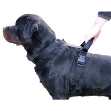 HARNAIS POUR CHIEN MARTIN SELLIER INTERVENTION