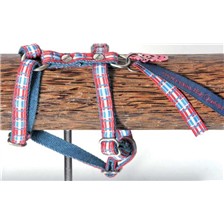 HARNAIS REGLABLE POUR CHIEN IMAGE DOG SAVE THE QUEEN