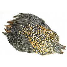 JUNGLE COQ JMC