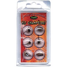 KIT DE 6 MOUCHES RAGOT SPECIAL CHAMPETRE