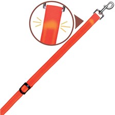 LAISSE CHIEN FLASH NYLON