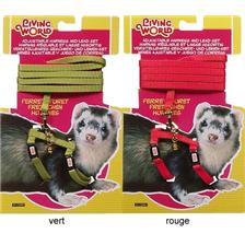 LAISSE ET HARNAIS POUR RONGEUR LIVING WORLD FURET