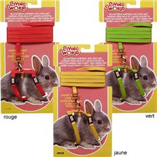 LAISSE ET HARNAIS POUR RONGEUR LIVING WORLD LAPIN NAIN