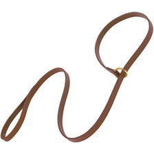 LAISSE LASSO CHIEN 1.50M