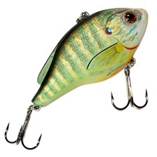 LEURRE COULANT PUMPKIN SEED LIVETARGET
