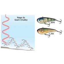 LEURRE COULANT SALMO GIANT CHUBBY
