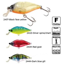 LEURRE FLOTTANT DAMIKI DR. K60