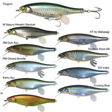 LEURRE FLOTTANT MEGABASS VISION 100