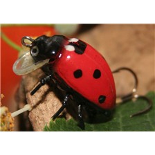 LEURRE FLOTTANT MICROBAIT COCCINELLE ROUGE