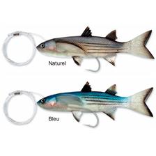 LEURRE WILLIAMSON LIVE MULLET - PACK DE 2