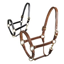 LICOL NICOLAS TOUZAINT CLASSIC