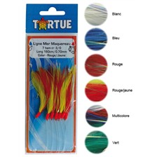 LIGNE TORTUE MAQUEREAU