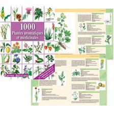LIVRE - 1000 PLANTES AROMATIQUES ET MEDICINALES