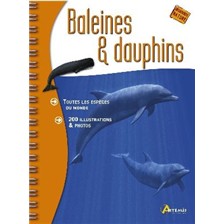 LIVRE - BALEINES ET DAUPHINS