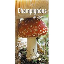LIVRE - CHAMPIGNONS DE FRANCE