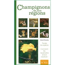 LIVRE - CHAMPIGNONS DE NOS REGIONS