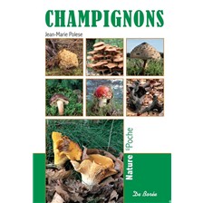 LIVRE - CHAMPIGNONS