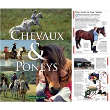 LIVRE - CHEVAUX & PONEYS