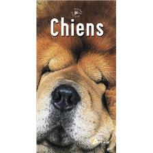LIVRE - CHIENS
