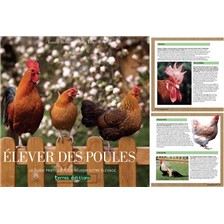 LIVRE - ELEVER DES POULES
