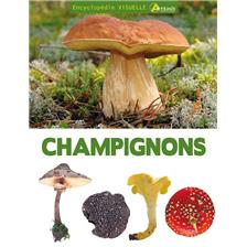 LIVRE - ENCYCLOPEDIE VISUELLE DES CHAMPIGNONS
