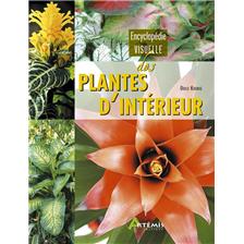 LIVRE - ENCYCLOPEDIE VISUELLE DES PLANTES D'INTERIEUR